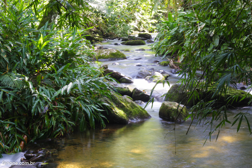 Fazenda Nova Gokula 2016 - Área de proteção ambiental e espiritual