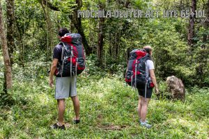 Mochila Deuter ACT Lite